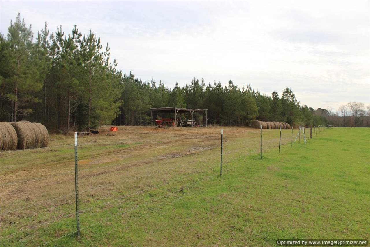 385 Greenwood Chapel Road Carthage, MS 39051 - Photo 21 of 41 Photo 22