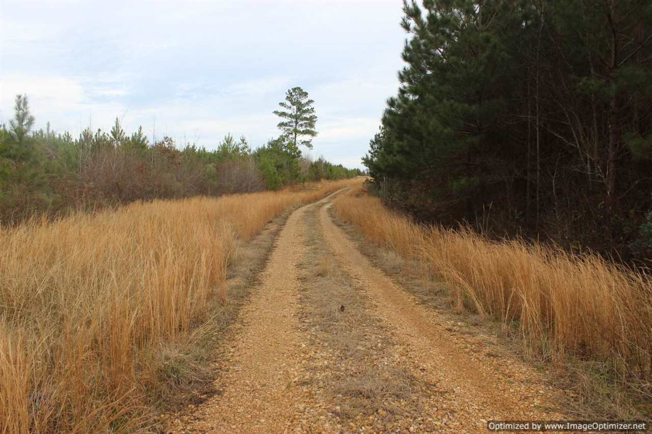 385 Greenwood Chapel Road Carthage, MS 39051 - Photo 26 of 41 Photo 27