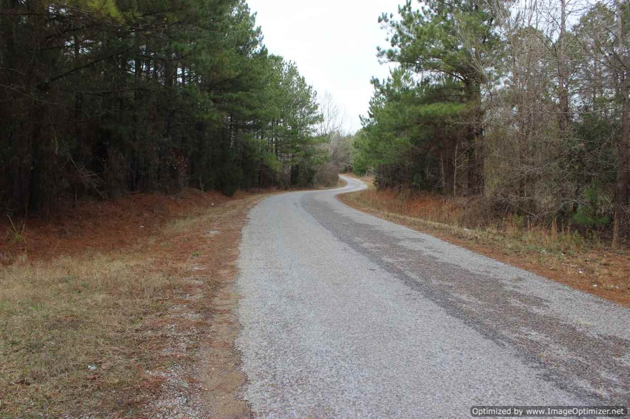 385 Greenwood Chapel Road Carthage, MS 39051 - Photo 27 of 41 Photo 28