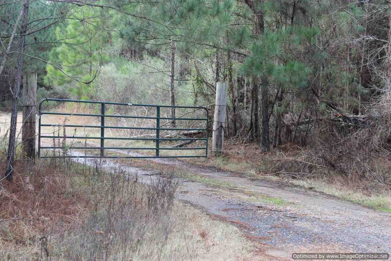 385 Greenwood Chapel Road Carthage, MS 39051 - Photo 28 of 41 Photo 29