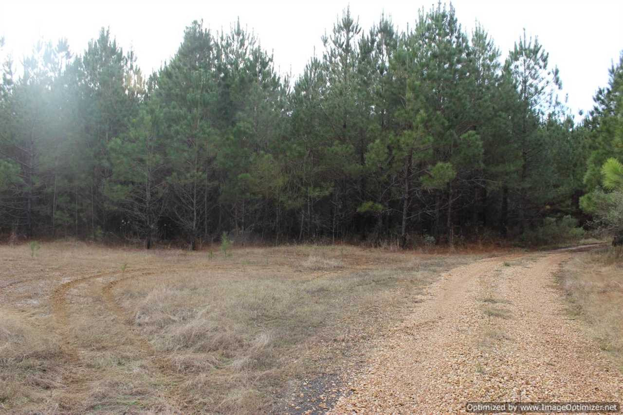 385 Greenwood Chapel Road Carthage, MS 39051 - Photo 29 of 41 Photo 30