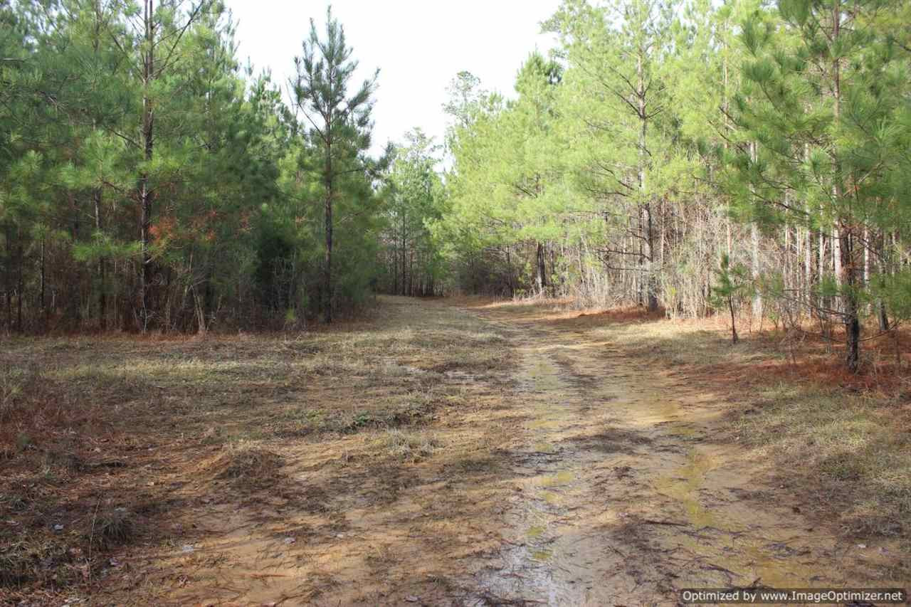 385 Greenwood Chapel Road Carthage, MS 39051 - Photo 3 of 41 Photo 4