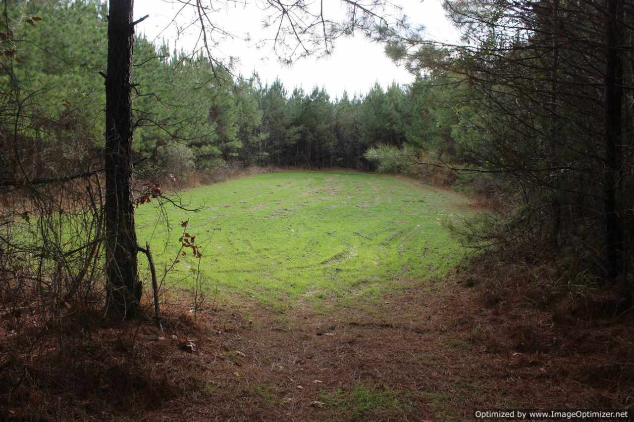 385 Greenwood Chapel Road Carthage, MS 39051 - Photo 31 of 41 Photo 32