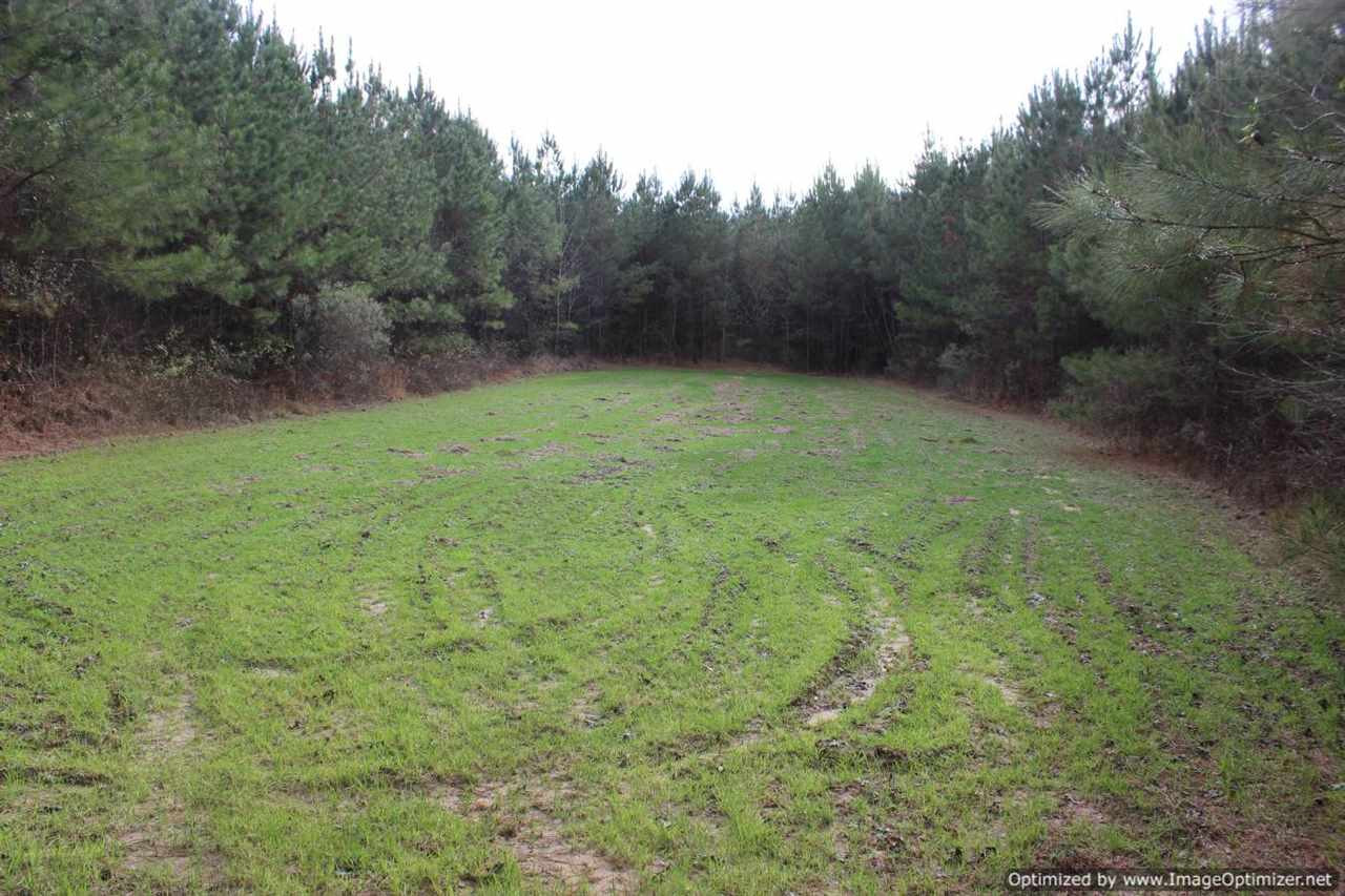 385 Greenwood Chapel Road Carthage, MS 39051 - Photo 32 of 41 Photo 33
