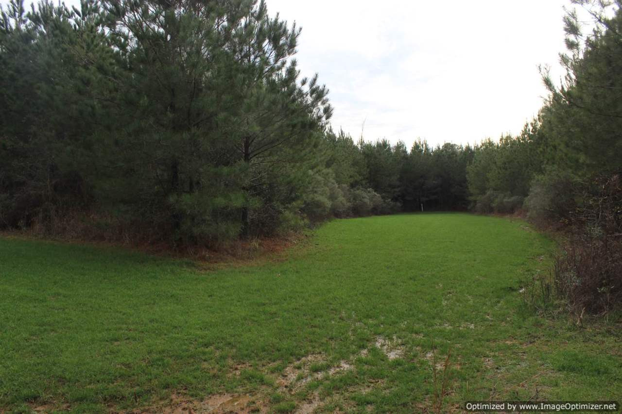 385 Greenwood Chapel Road Carthage, MS 39051 - Photo 33 of 41 Photo 34
