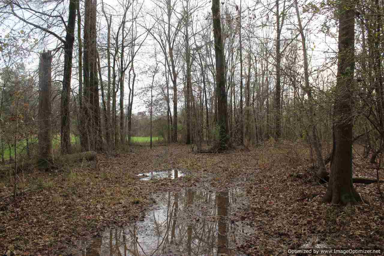 385 Greenwood Chapel Road Carthage, MS 39051 - Photo 35 of 41 Photo 36