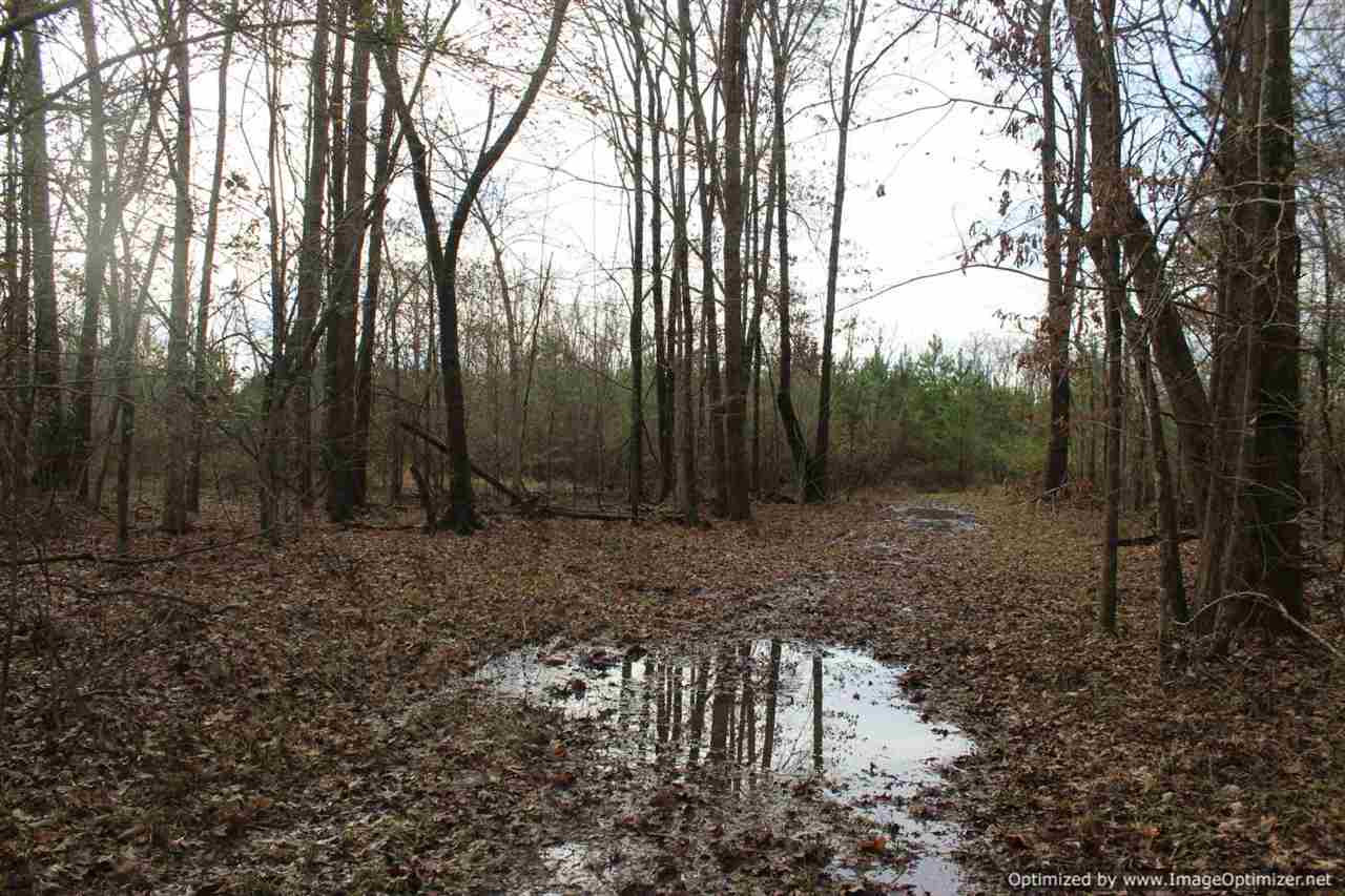 385 Greenwood Chapel Road Carthage, MS 39051 - Photo 36 of 41 Photo 37
