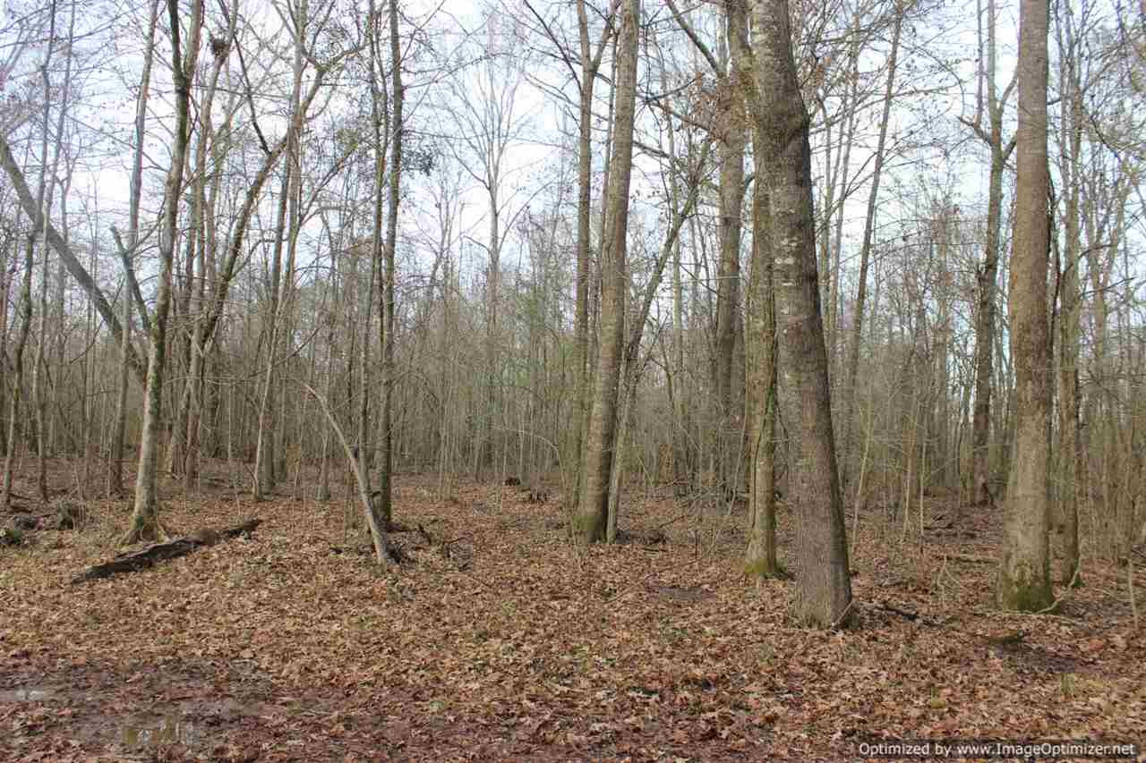 385 Greenwood Chapel Road Carthage, MS 39051 - Photo 37 of 41 Photo 38