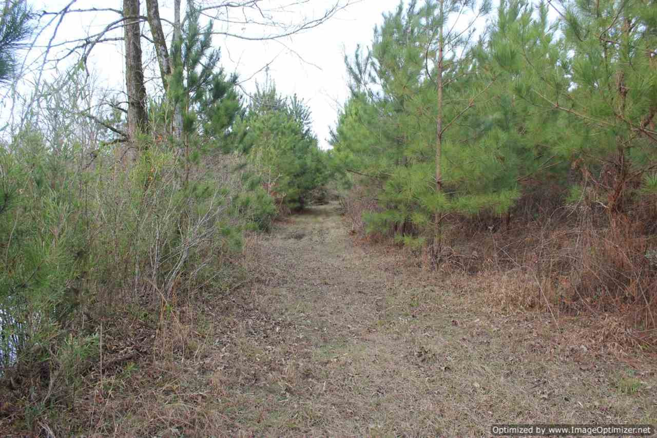 385 Greenwood Chapel Road Carthage, MS 39051 - Photo 38 of 41 Photo 39