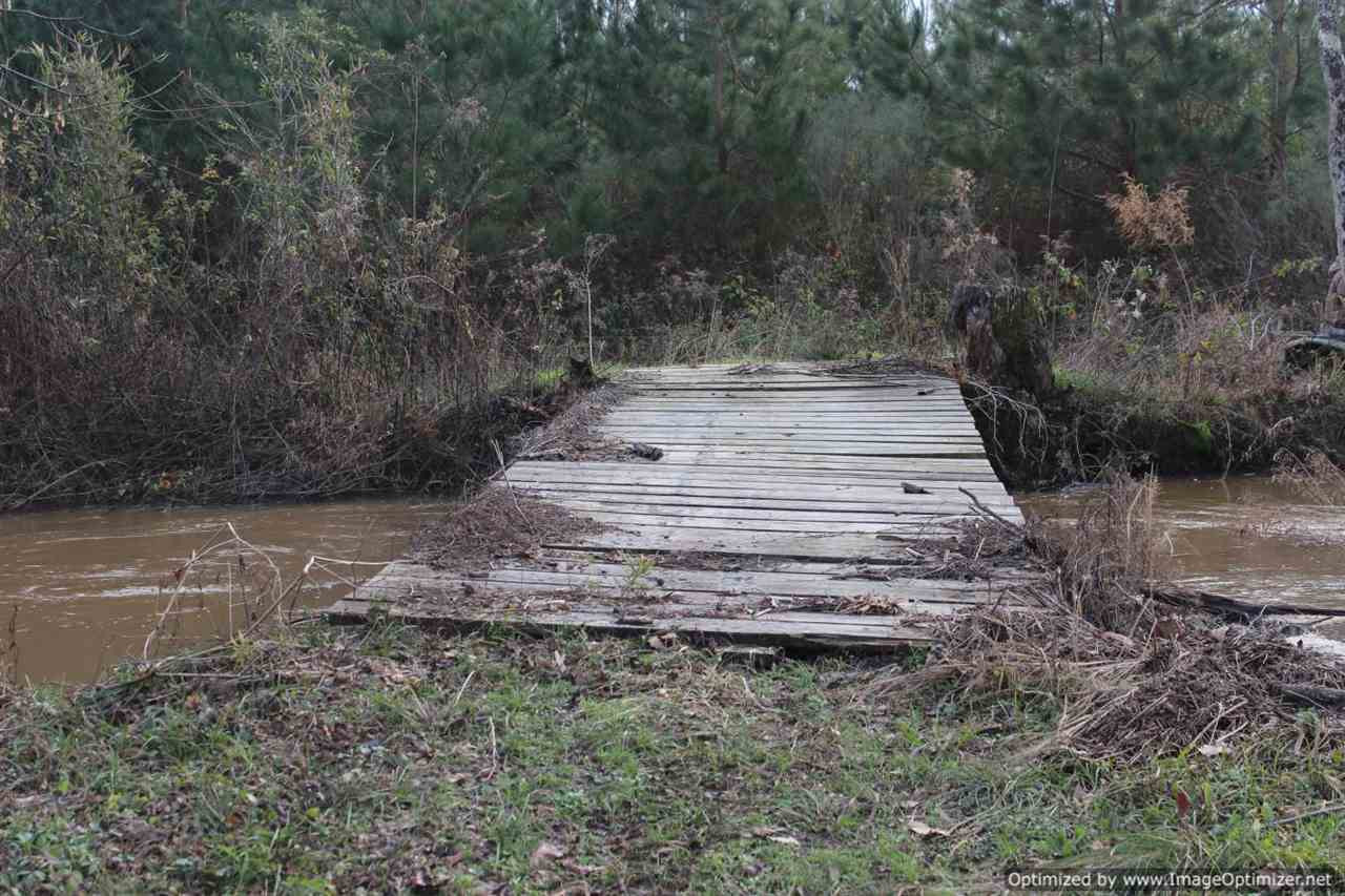 385 Greenwood Chapel Road Carthage, MS 39051 - Photo 39 of 41 Photo 40