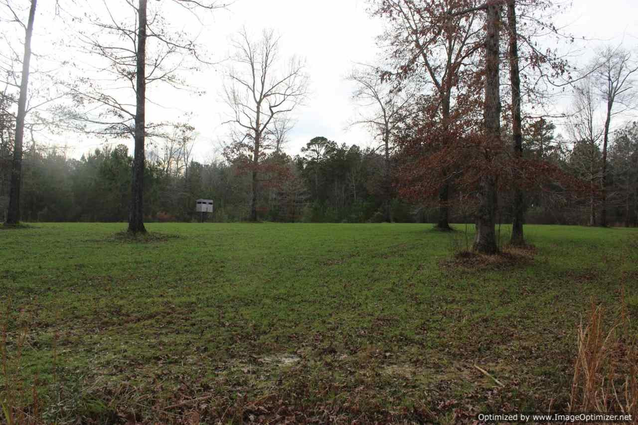 385 Greenwood Chapel Road Carthage, MS 39051 - Photo 5 of 41 Photo 6