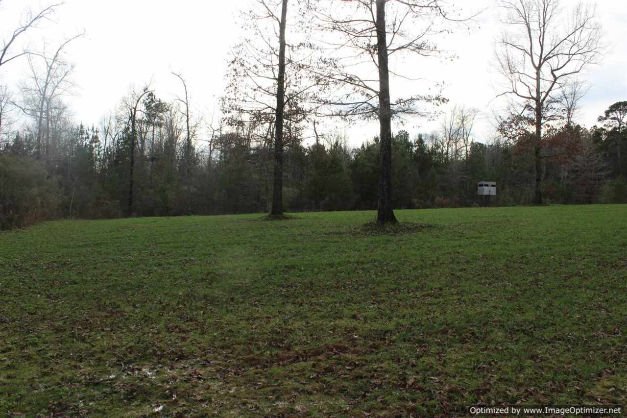 385 Greenwood Chapel Road Carthage, MS 39051 - Photo 6 of 41 Photo 7