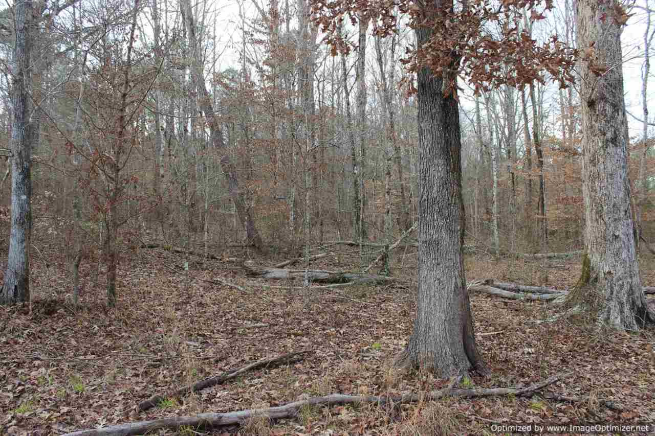 385 Greenwood Chapel Road Carthage, MS 39051 - Photo 7 of 41 Photo 8