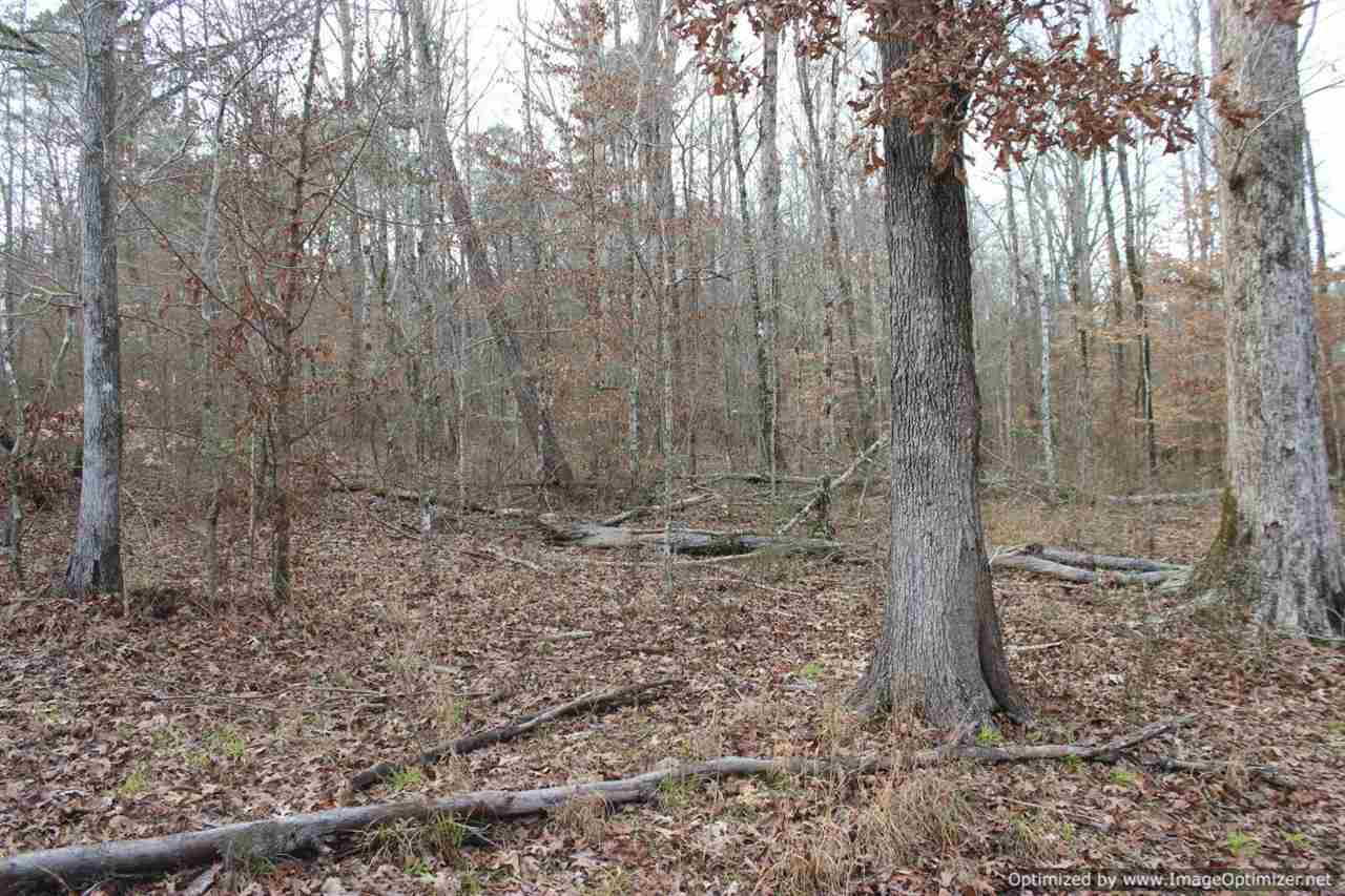 385 Greenwood Chapel Road Carthage, MS 39051 - Photo 8 of 41 Photo 9