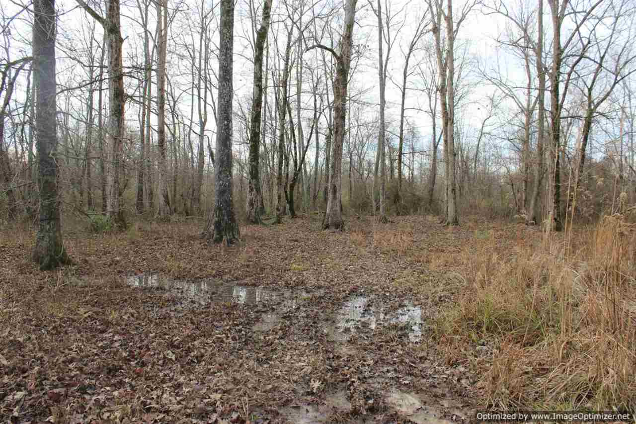 385 Greenwood Chapel Road Carthage, MS 39051 - Photo 9 of 41 Photo 10