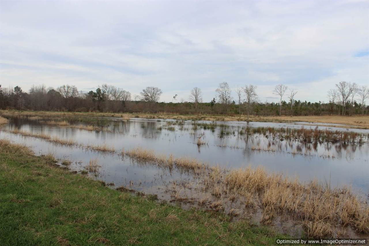 385 Greenwood Chapel Road Carthage, MS 39051 - Photo 10 of 41 Photo 11