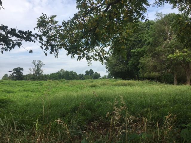 19-ac Clear Fork Road Waynesburg, KY 40489 - Photo 1 of 8 IMG_1170