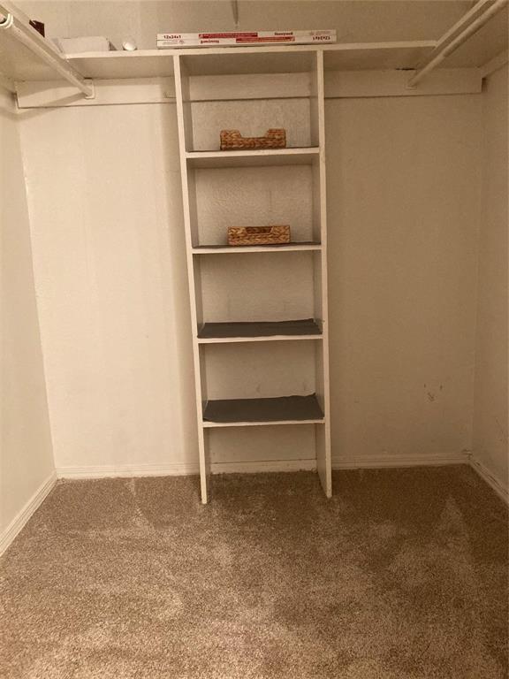 18240 Midway Road, Unit 905 Dallas, TX 75287 - Photo 12 of 15 Walk in closet featuring carpet floors