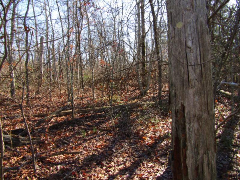 Lot 20 Laurel Loop Monterey, TN 38574 - Photo 1 of 12 IMG_6151