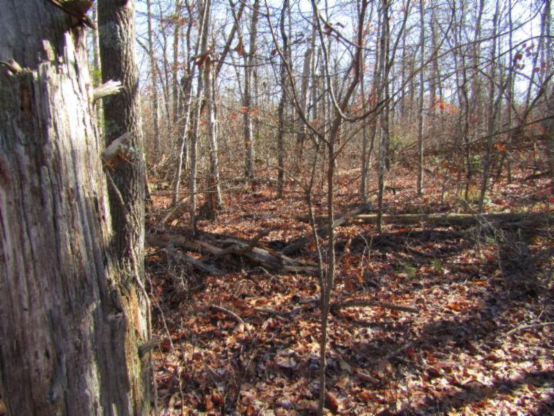Lot 20 Laurel Loop Monterey, TN 38574 - Photo 2 of 12 IMG_6149