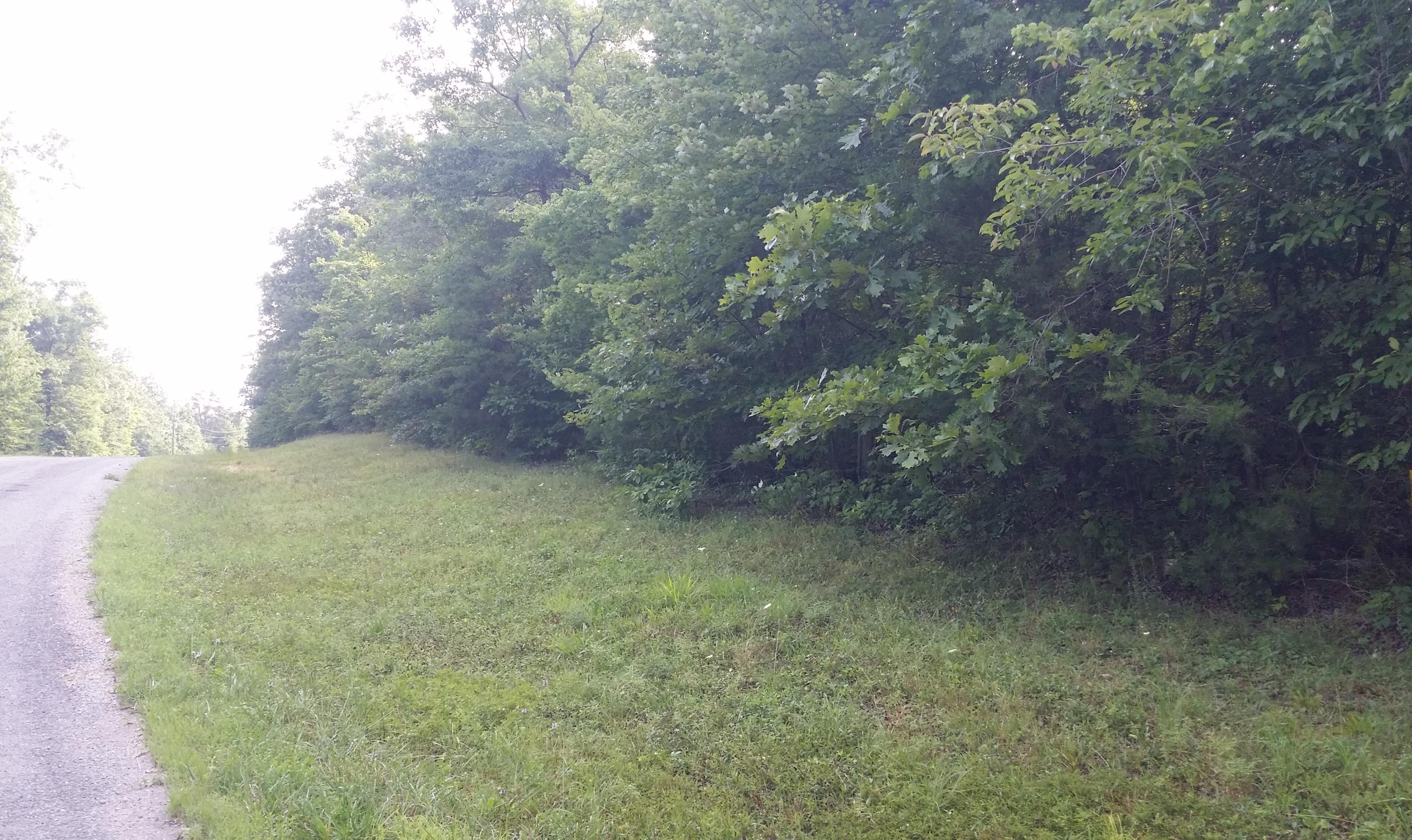 Lot 20 Laurel Loop Monterey, TN 38574 - Photo 6 of 12 20180714_080324