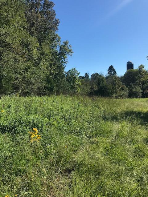 36 Pinhook Road Delano, TN 37325 - Photo 8 of 30 Chestuee 36 field