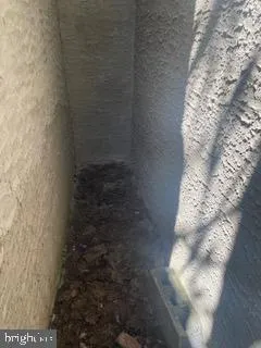 a view of a yard with plants and trees