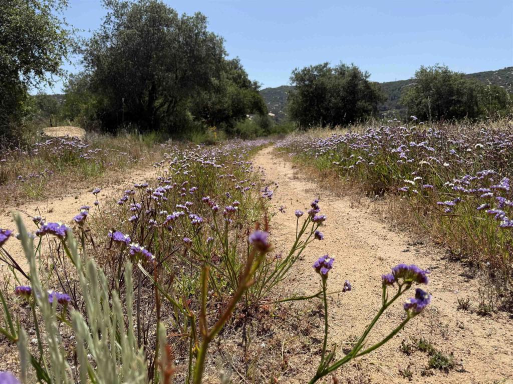 0 Mt Olympus Valley Road Fallbrook, CA 92028 - Photo 32 of 50 Dual access to the property