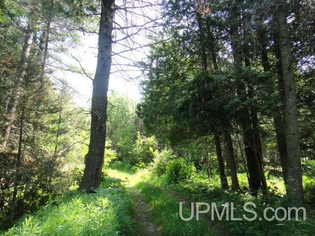 40-ac Uno Dam/ Ff3473 Road Iron River, MI 49935 - Photo 33 of 36