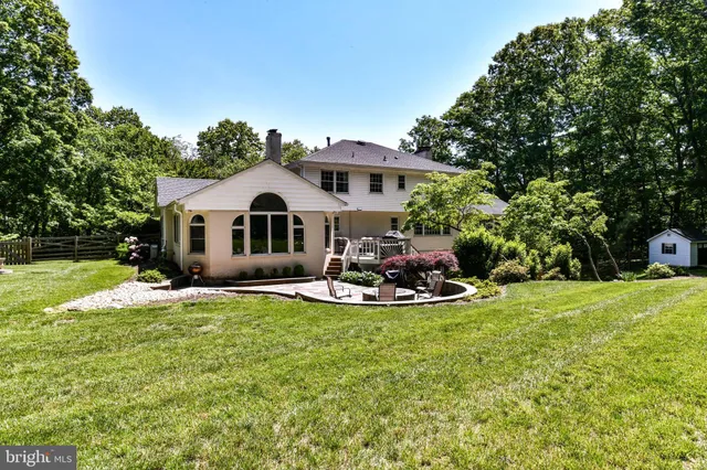 a view of a garden with plants and large trees