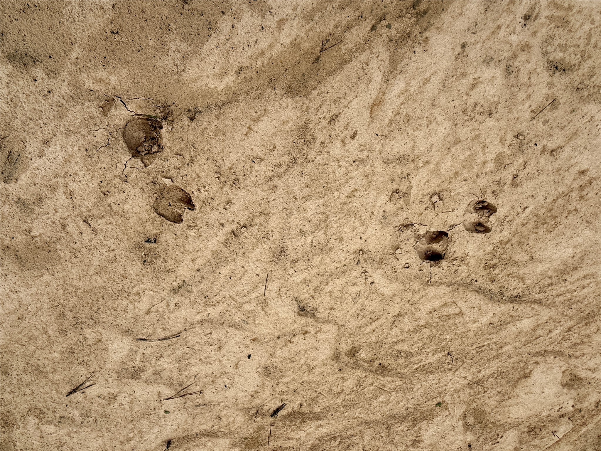 8640 Carter Ranch Road Kountze, TX 77625 - Photo 3 of 5 a bathroom with a shower