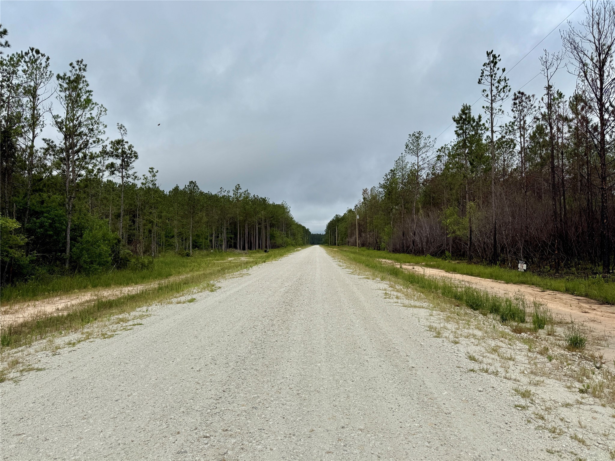 8640 Carter Ranch Road Kountze, TX 77625 - Photo 4 of 5 a view of a road with a yard