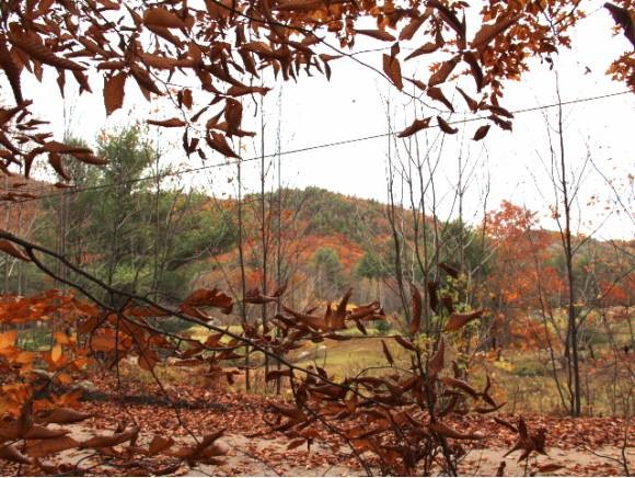 Winona Road New Hampton, NH 03256 - Photo 1 of 1