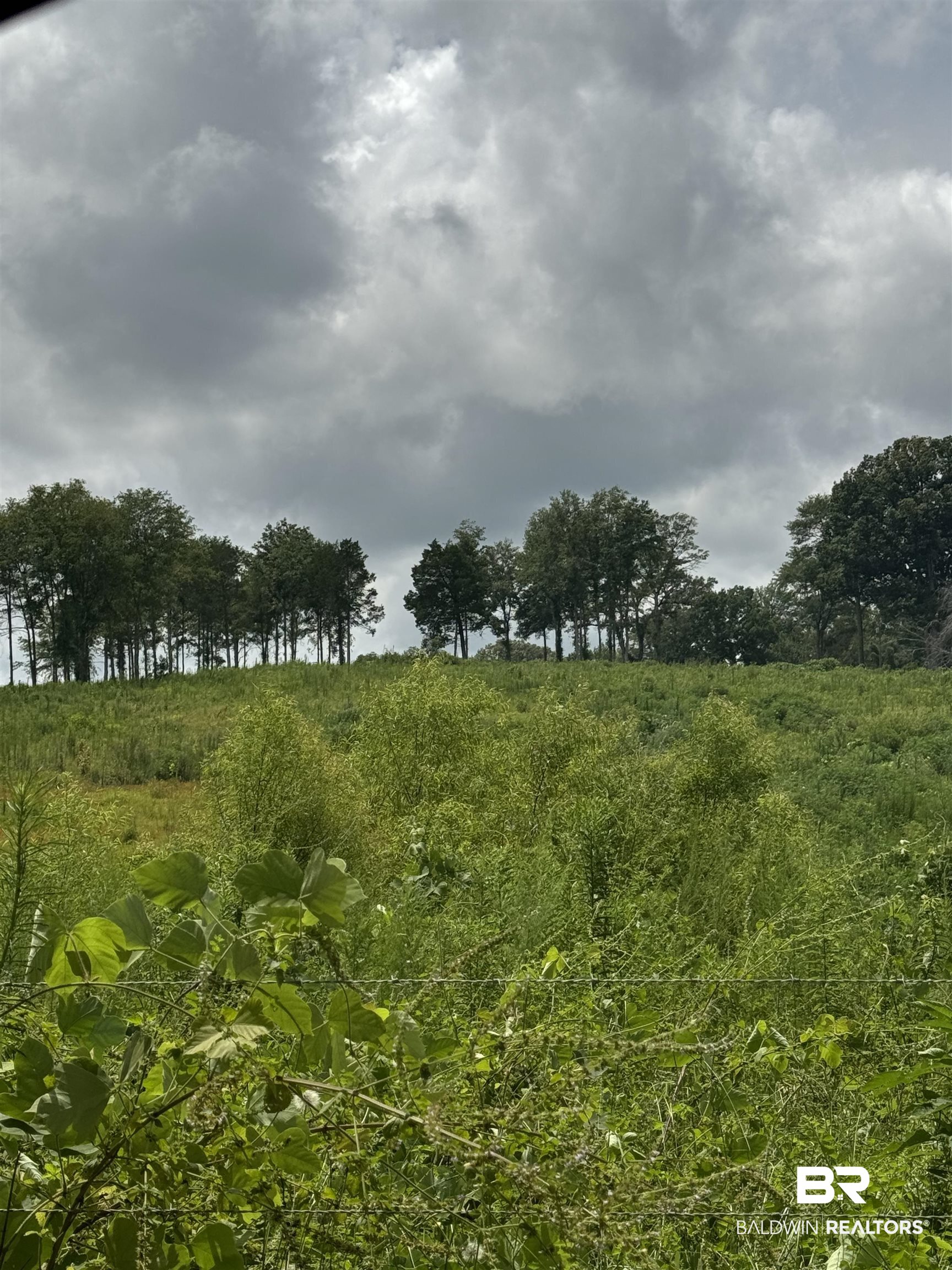 0 Deer Creek Road Monroeville, AL 36460 - Photo 1 of 19 View of landscape with a rural view