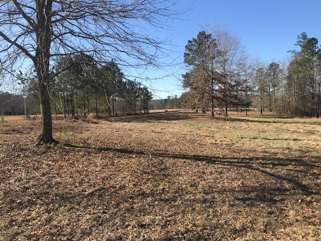 1 D Angela Road Wagener, SC 29164 - Photo 5 of 14
