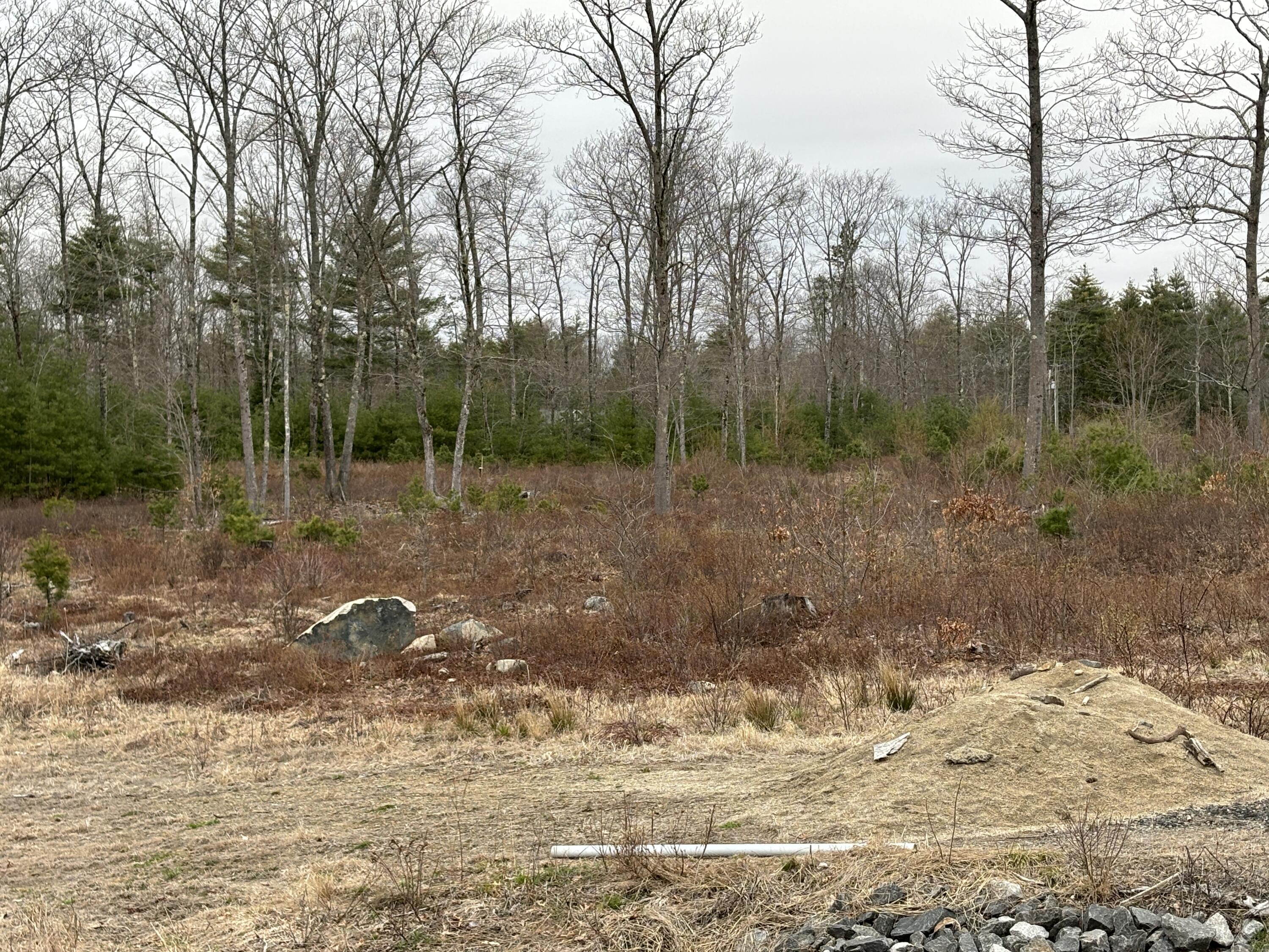 Lot 4 Webber Ridge Ln Wells Wells, ME 04090 - Photo 7 of 32 IMG_1882