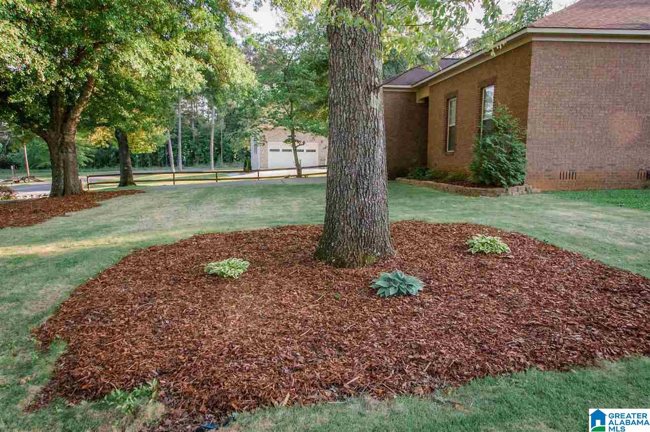 165 Pine View Circle Remlap, AL 35133 - Photo 17 of 48