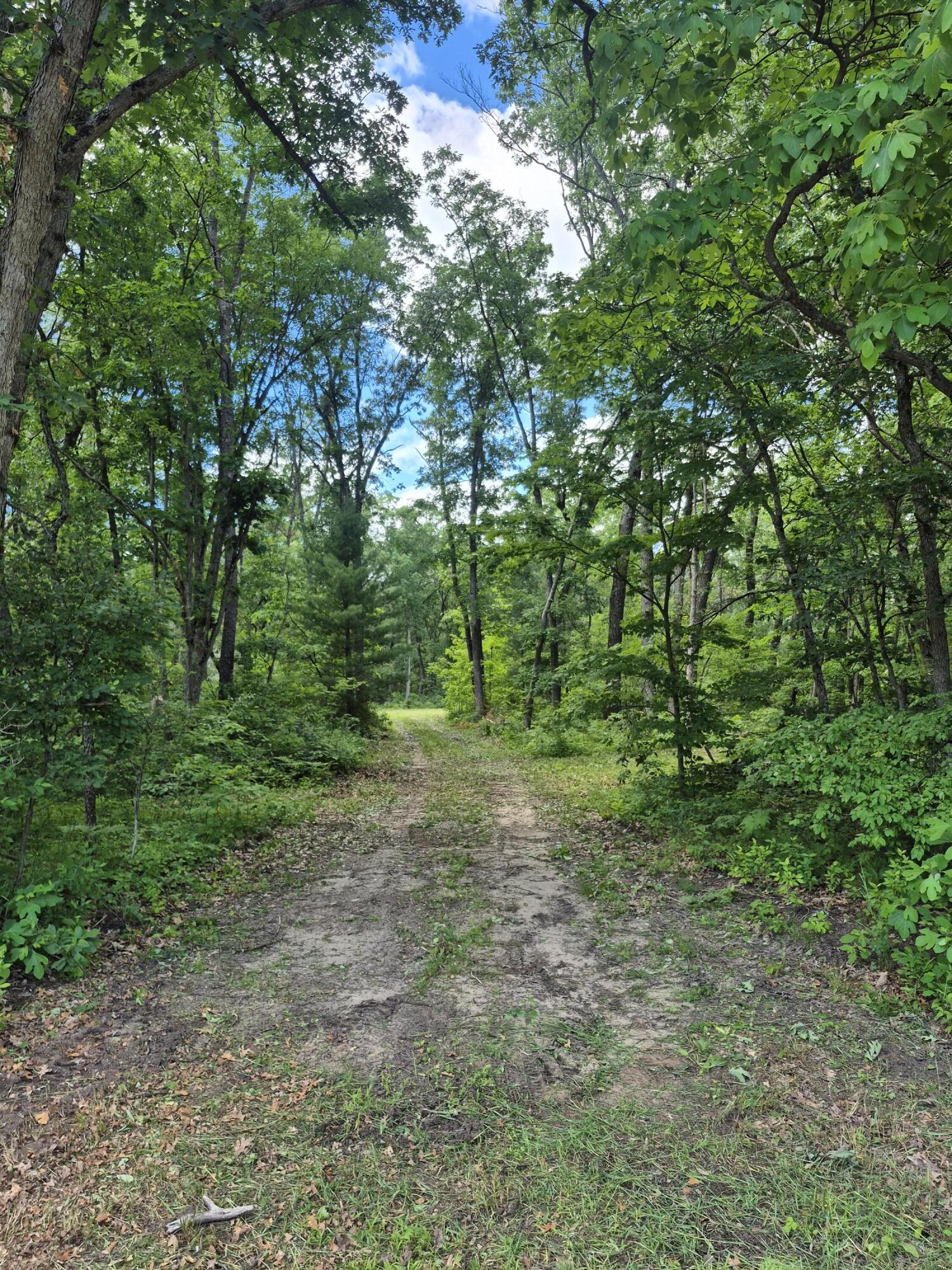 7018 Sweeter Road Twin Lake, MI 49457 - Photo 4 of 13 20260620_160308