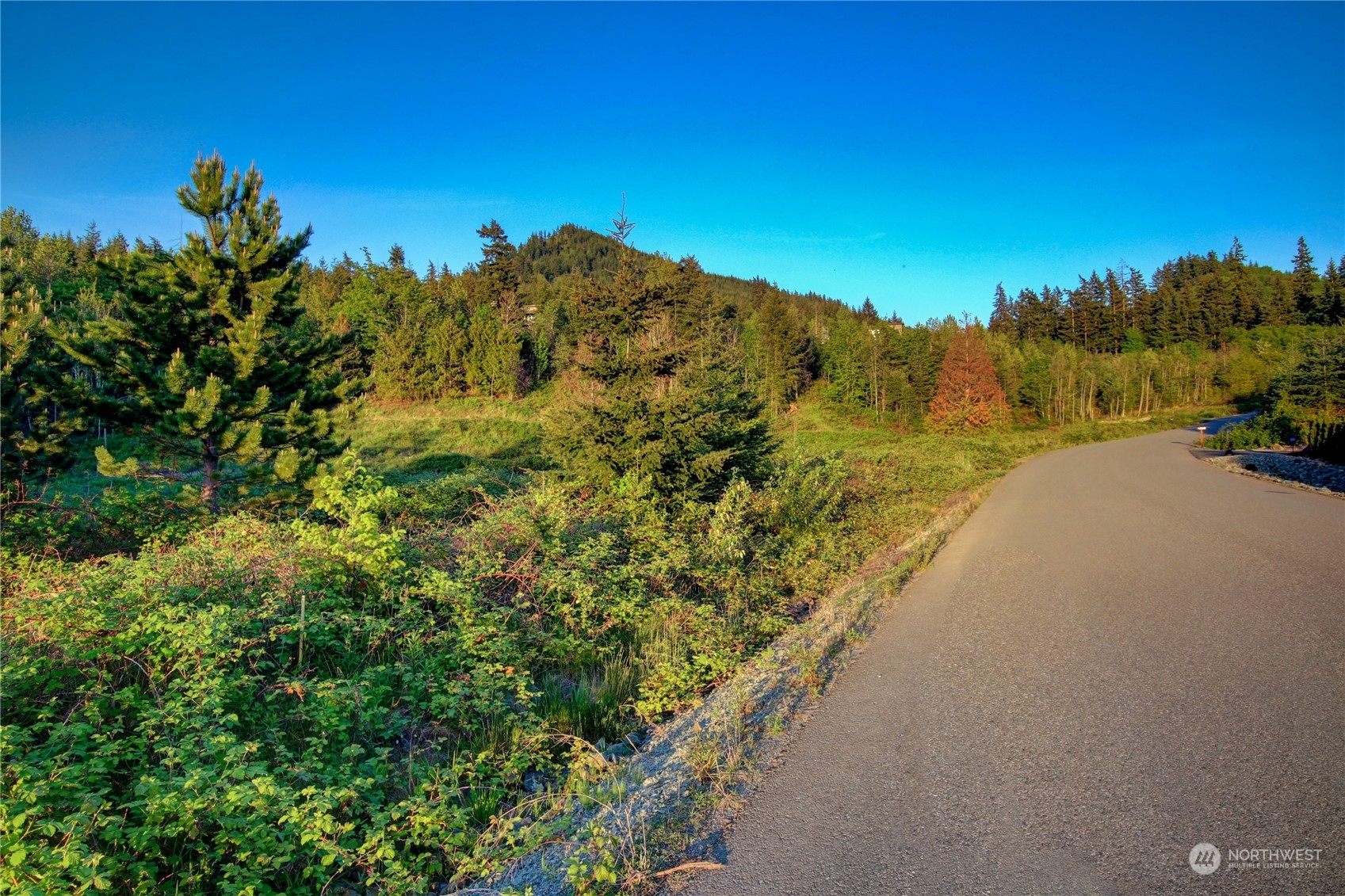 0 Benson Ridge Mount Vernon, WA 98274 - Photo 3 of 28 a view of a road with a building in the background