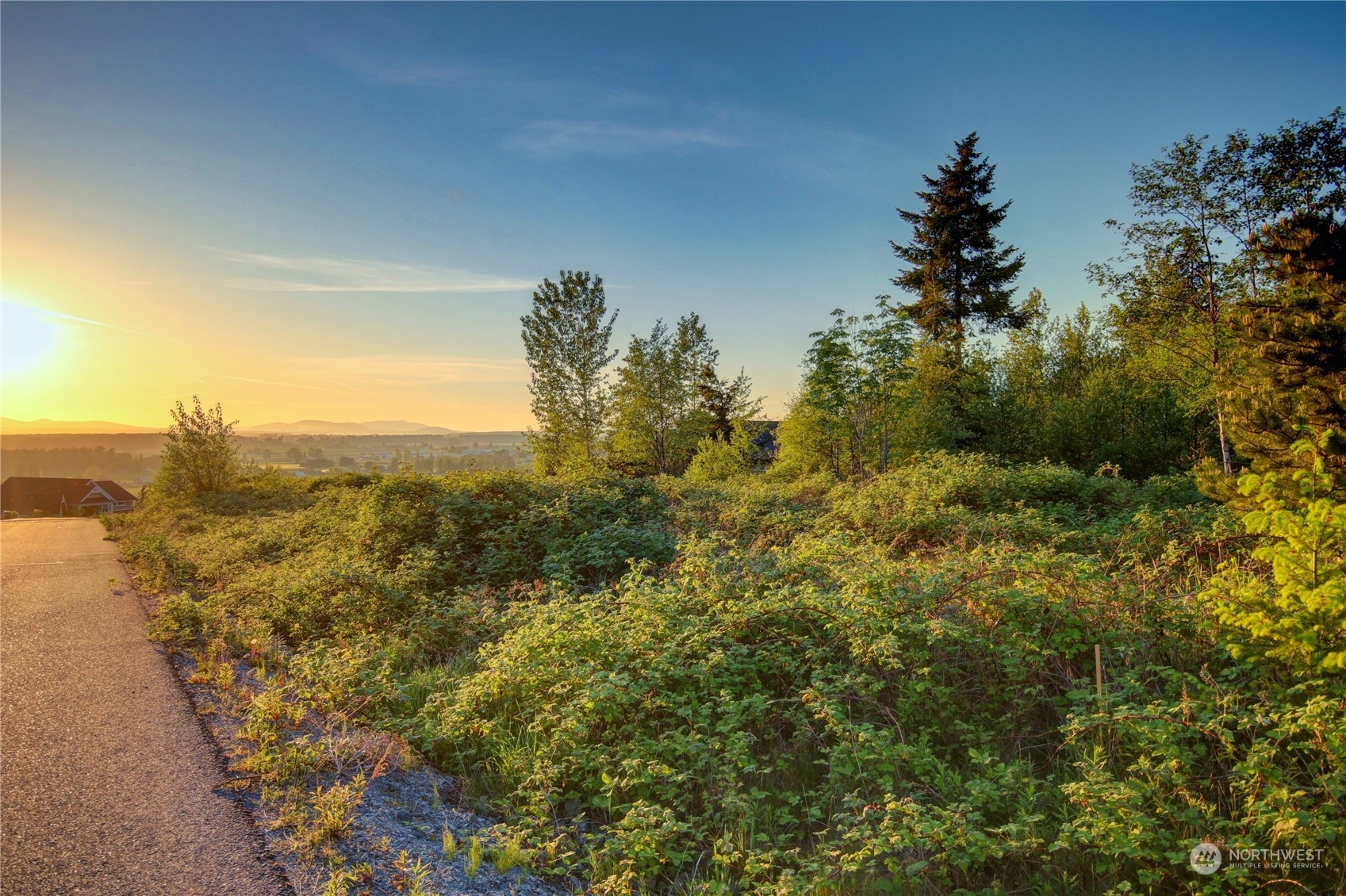 0 Benson Ridge Mount Vernon, WA 98274 - Photo 4 of 28 a view of a large yard with plants and large trees