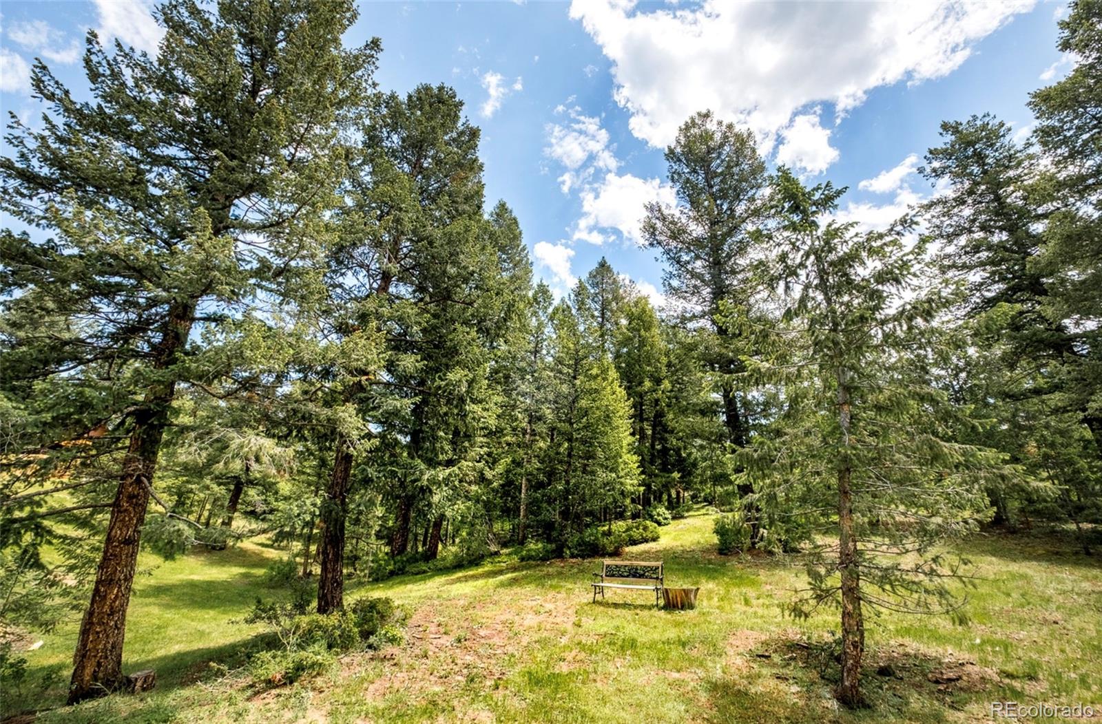 6608 Kiem Road Evergreen, CO 80439 - Photo 33 of 43