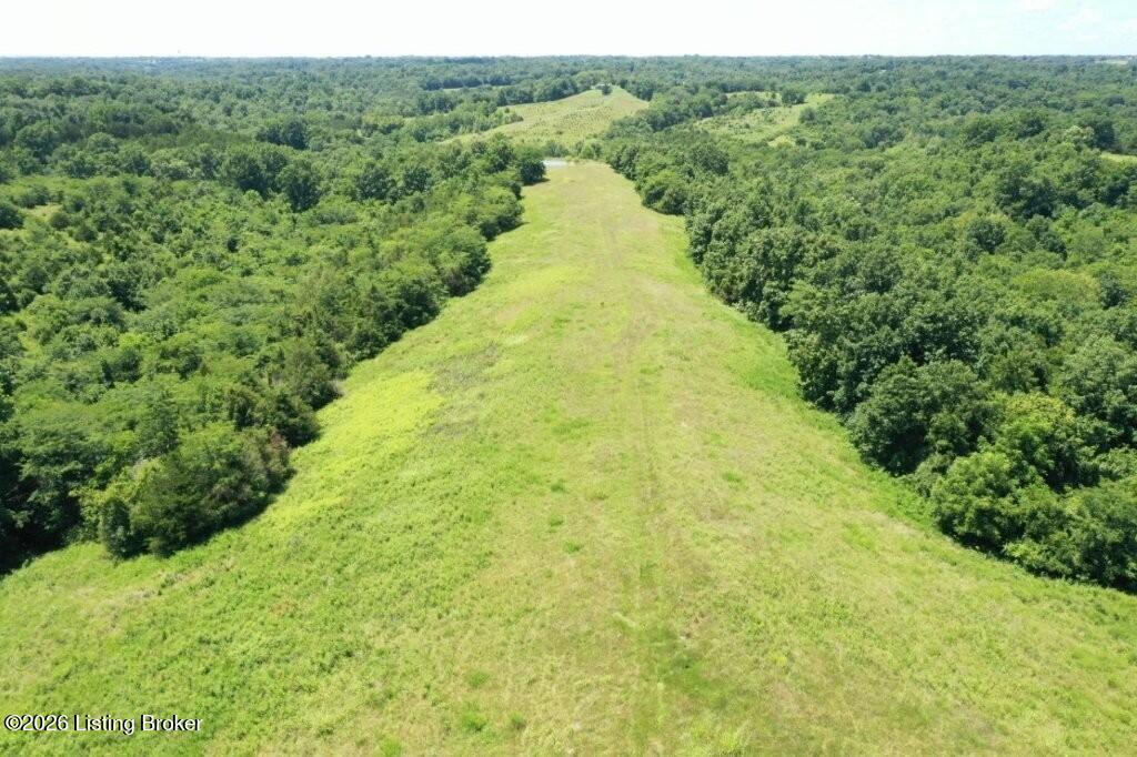 1969 Tatum Ridge Road Willisburg, KY 40078 - Photo 44 of 55 DJI_0956