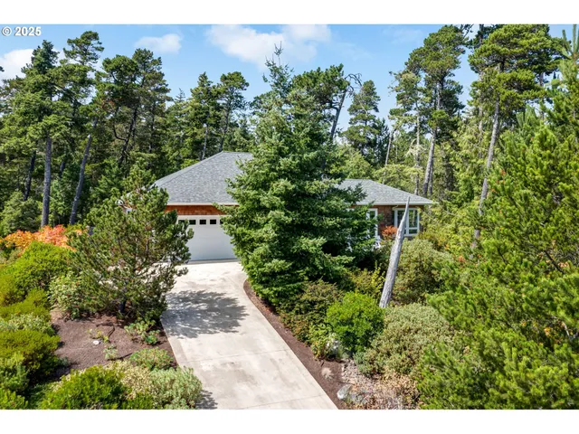 a view of a garden with plants