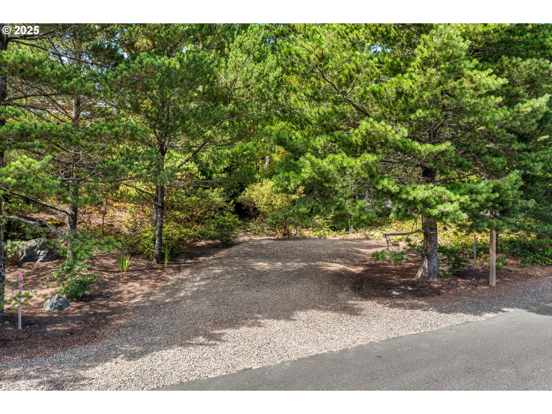 10190 Pine Ridge Drive Nehalem, OR 97131 - Photo 34 of 35 a view of a yard with plants and trees