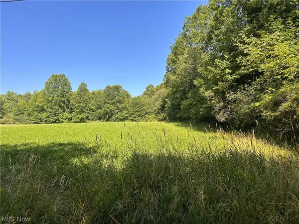 $35,000 | Wilson Lane, Lowellville, OH 44436