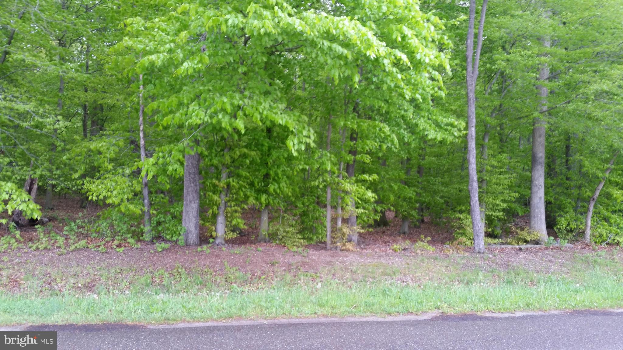 320 Anderson Corner Road Marydel, MD 21649 - Photo 3 of 3 View