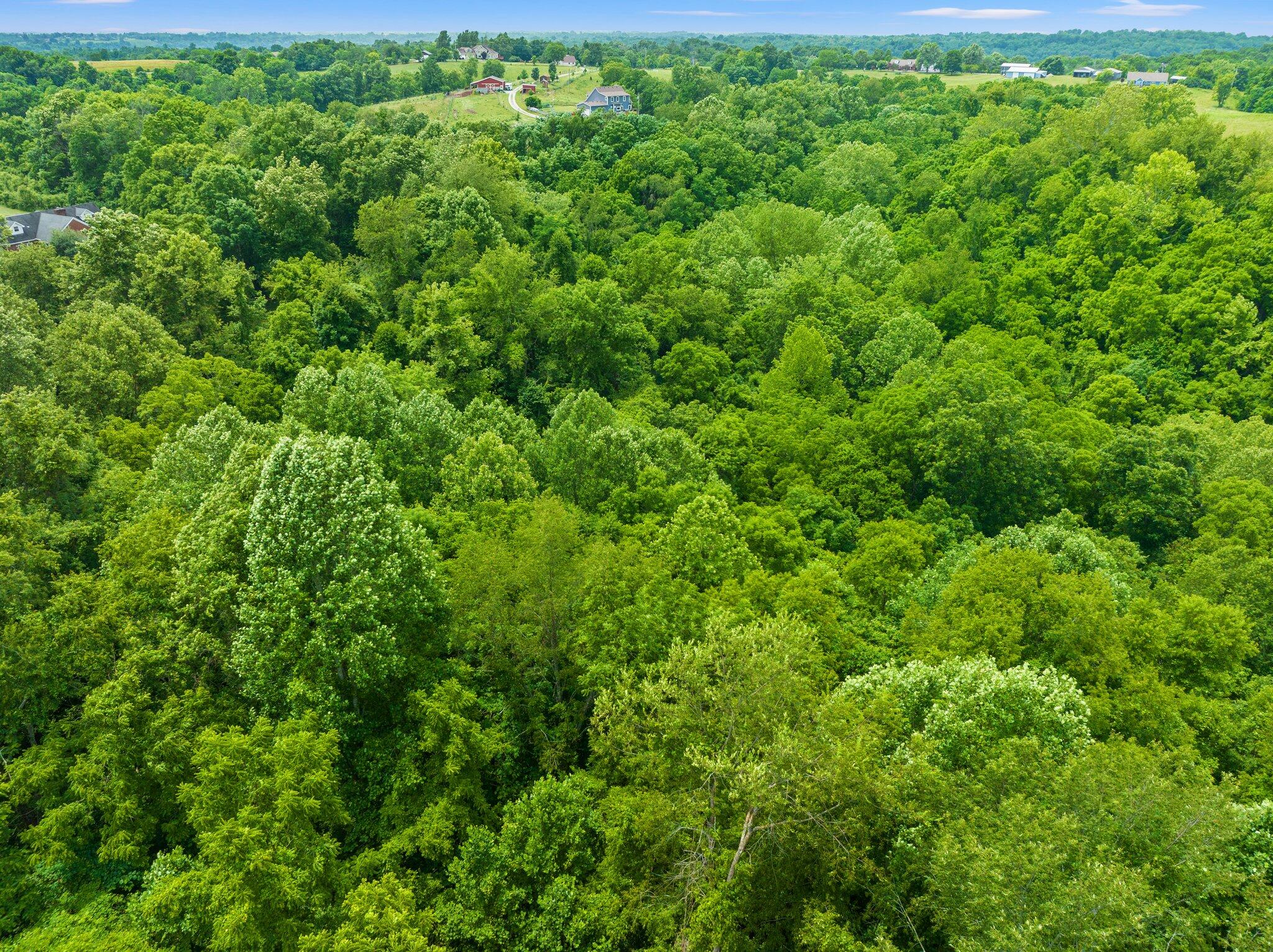 751 North Rdg Road Richmond, KY 40475 - Photo 44 of 45 44-web-or-mls-DJI_0338