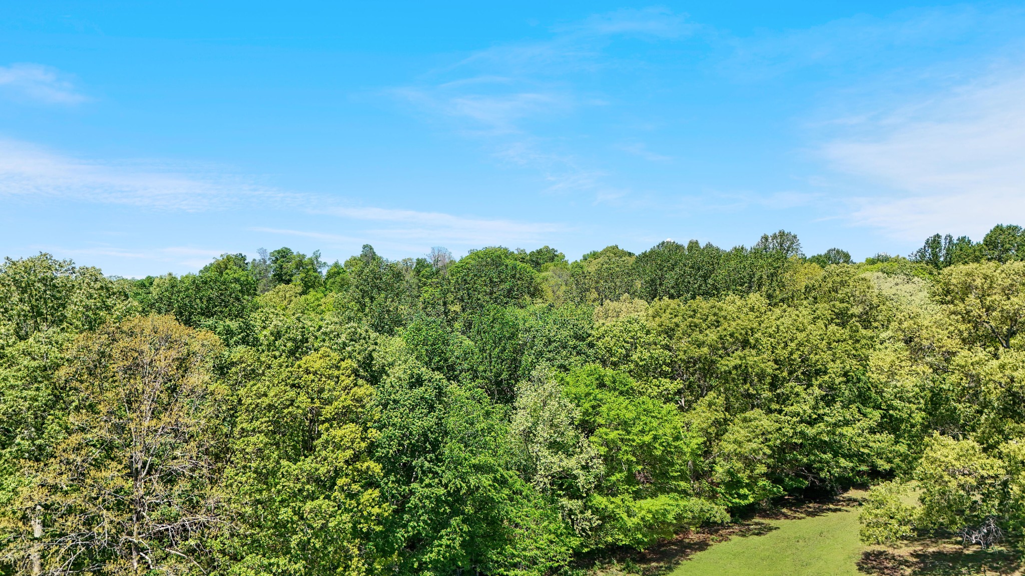 0 Eno Road Dickson, TN 37055 - Photo 12 of 12
