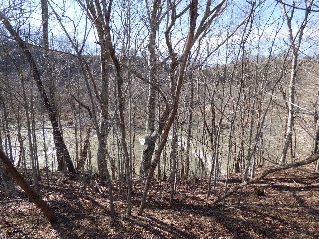 Tbd Major Grahams Road, Unit 13 Max Meadows, VA 24360 - Photo 20 of 20 Gallery Image 20
