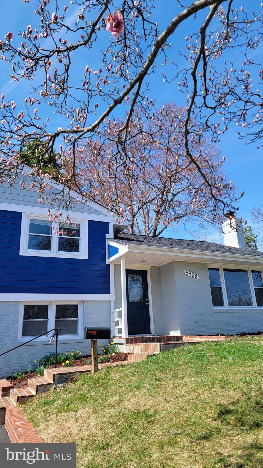 5908 Amelia Street Springfield, VA 22150 - Photo 40 of 41